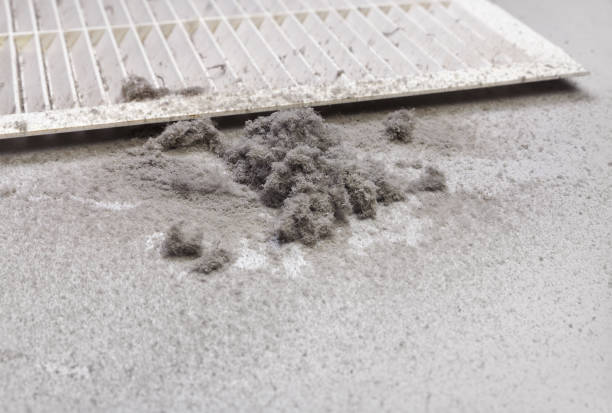 Best HVAC Duct Inspection Services  in Morton Grove, IL